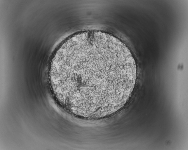 X0000114190012200911200947