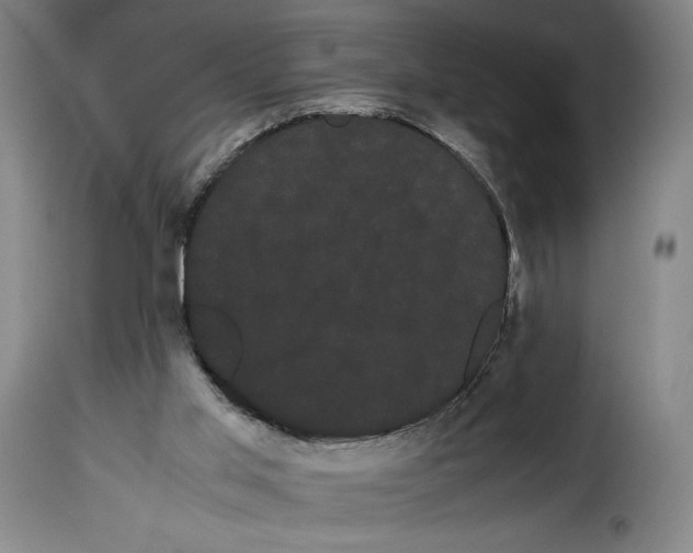 X0000114190013200911200947