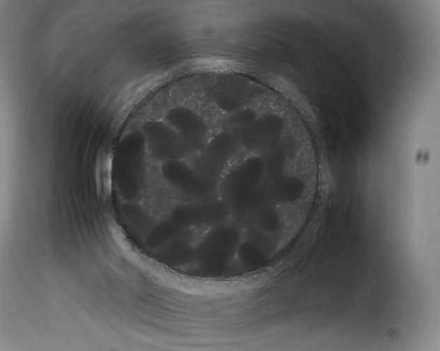 X0000114190014200911200947