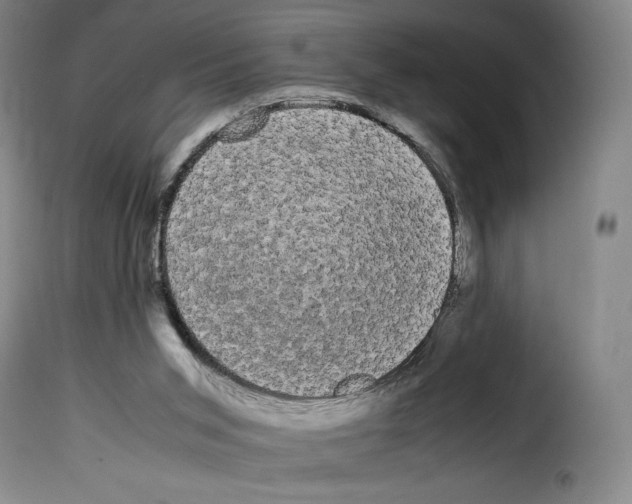 X0000114190015200911200947
