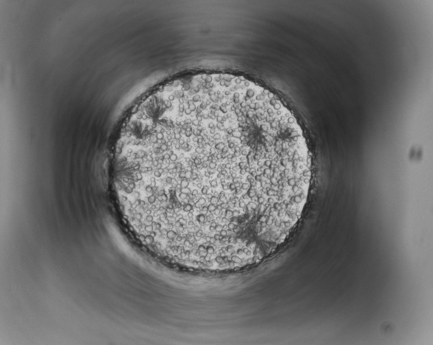 X0000114190016200911200947