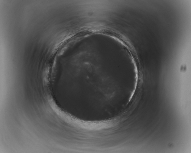 X0000114190018200911200947