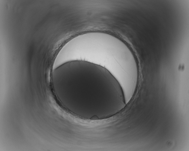 X0000114190019200911200947