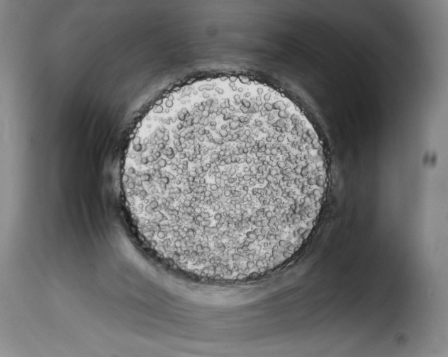 X0000114190020200911200947