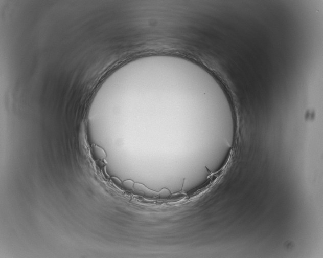 X0000114190021200911200947