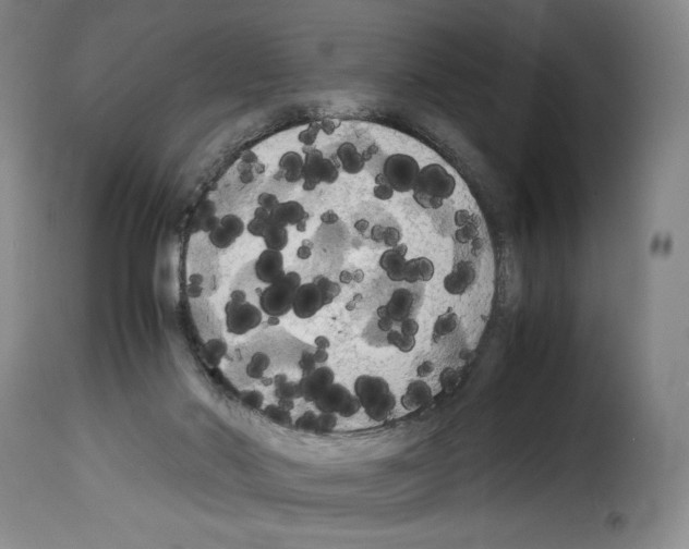 X0000114190022200911200947