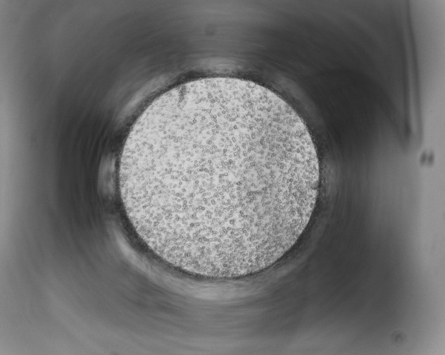X0000114190024200911200947