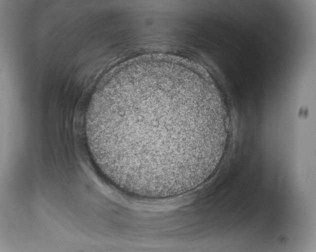 X0000114190025200911200946