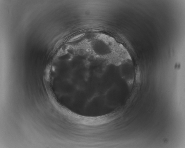 X0000114190026200911200946