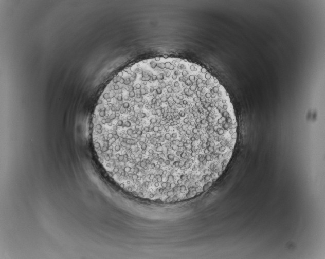 X0000114190028200911200946