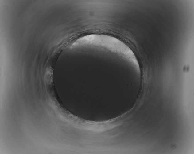 X0000114190029200911200946