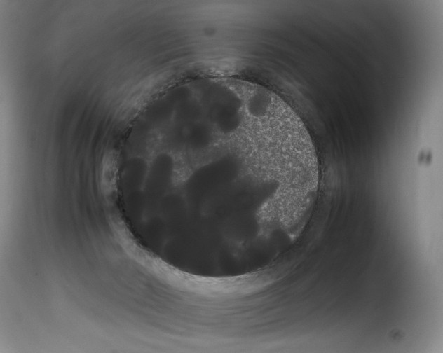 X0000114190030200911200946