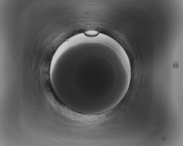 X0000114190031200911200946