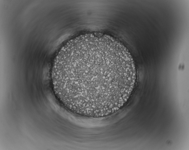 X0000114190032200911200946