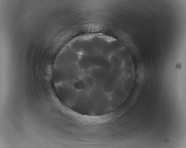 X0000114190034200911200946