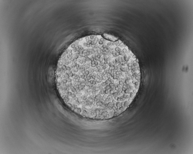 X0000114190036200911200946