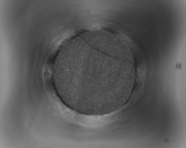 X0000114190037200911200946