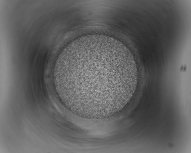 X0000114190038200911200946