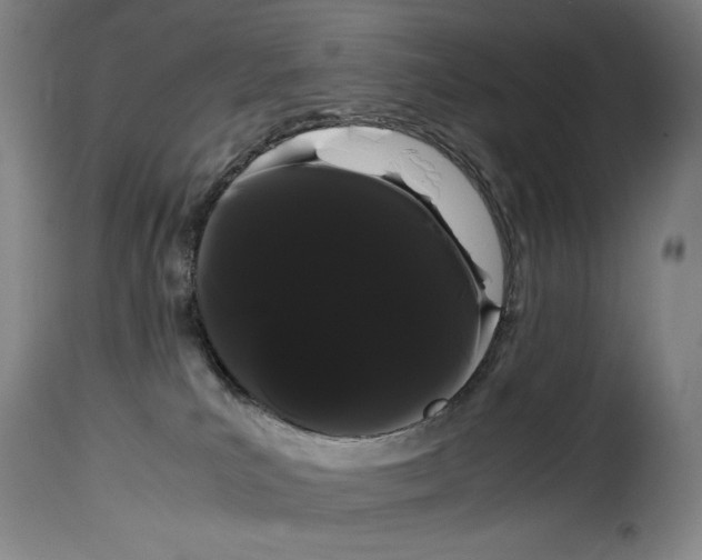 X0000114190039200911200946