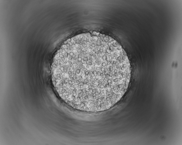 X0000114190040200911200946