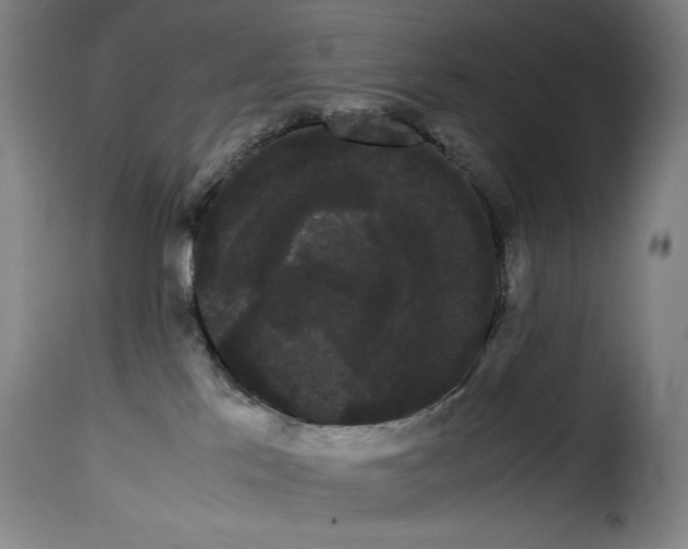 X0000114190041200911200946