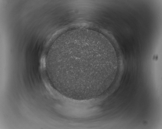 X0000114190042200911200946