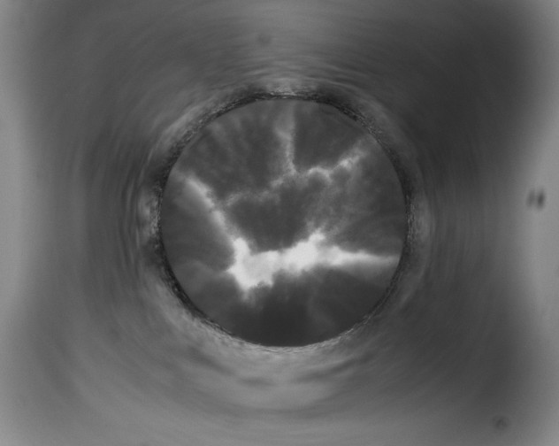 X0000114190043200911200946