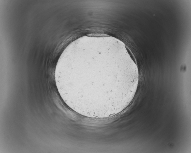 X0000114190045200911200946