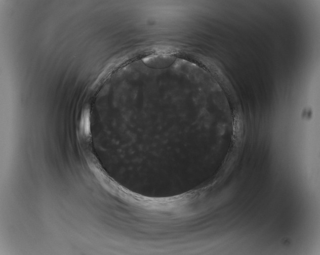 X0000114190046200911200946