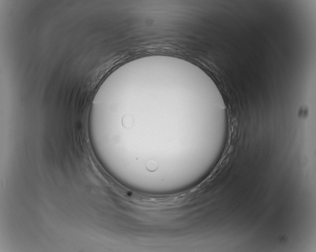 X0000114190047200911200946