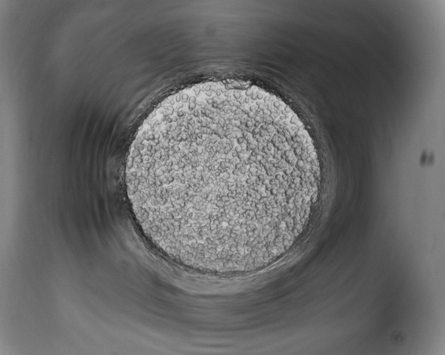 X0000114190048200911200946
