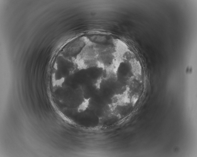 X0000114190049200911200946
