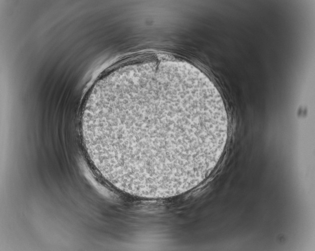 X0000114190050200911200946
