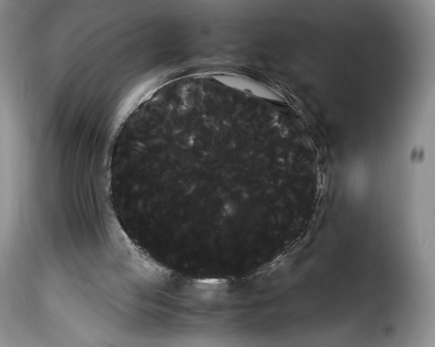 X0000114190053200911200946
