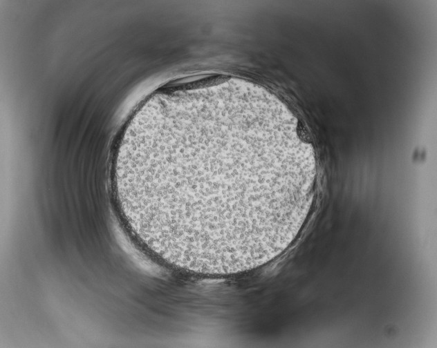 X0000114190054200911200946