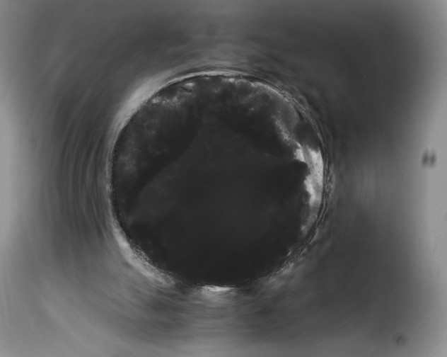 X0000114190055200911200946