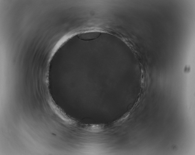 X0000114190056200911200946