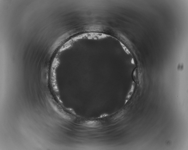 X0000114190059200911200946