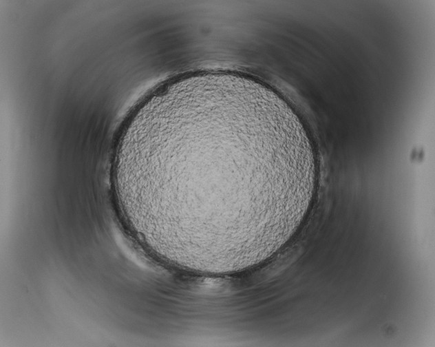 X0000114190060200911200946