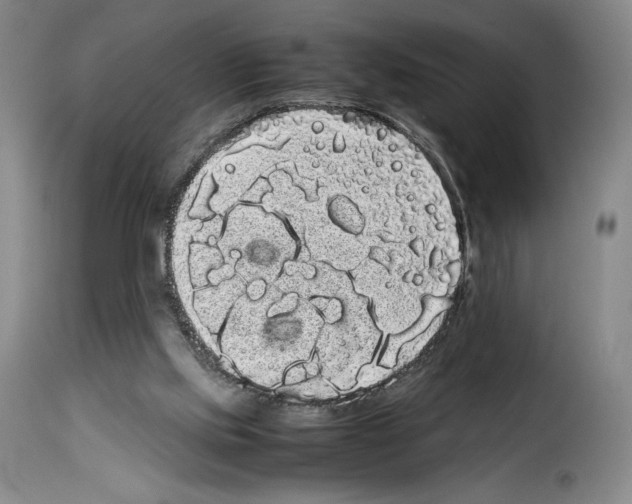 X0000114190061200911200946