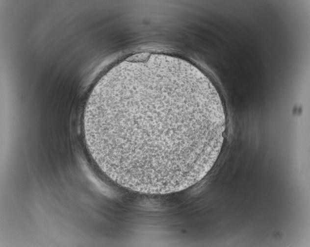 X0000114190062200911200946