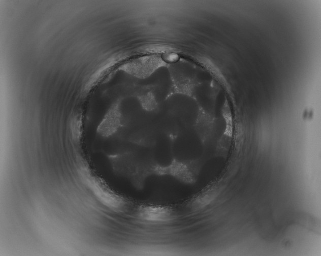 X0000114190063200911200946