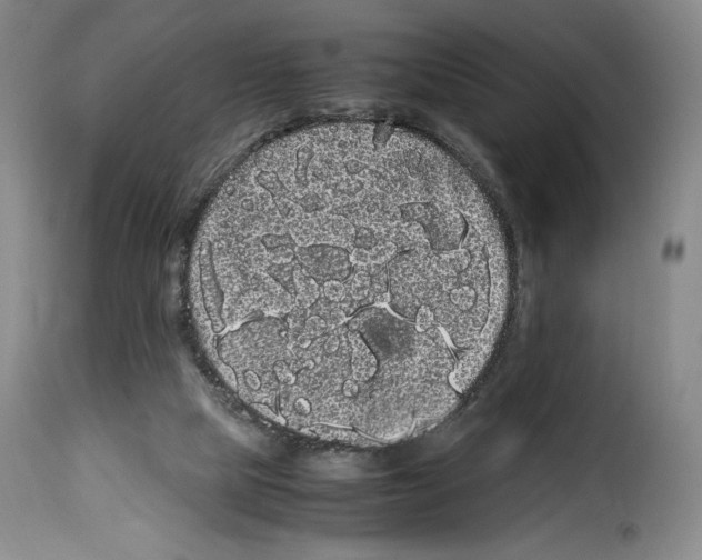 X0000114190065200911200946