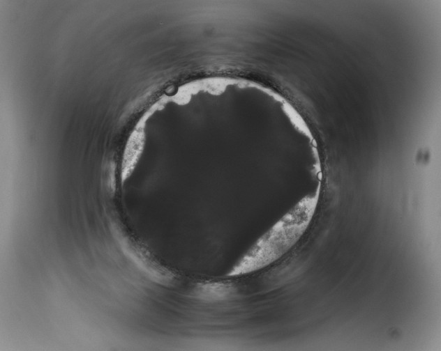 X0000114190067200911200946