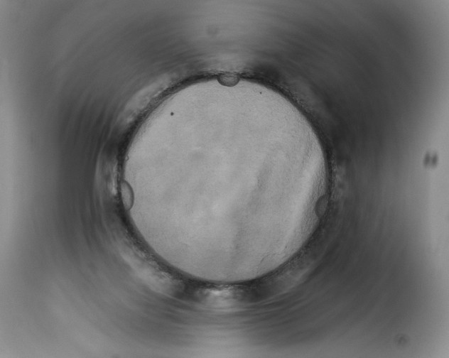 X0000114190068200911200946