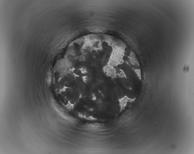 X0000114190069200911200946