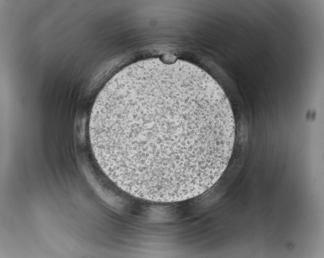 X0000114190070200911200946