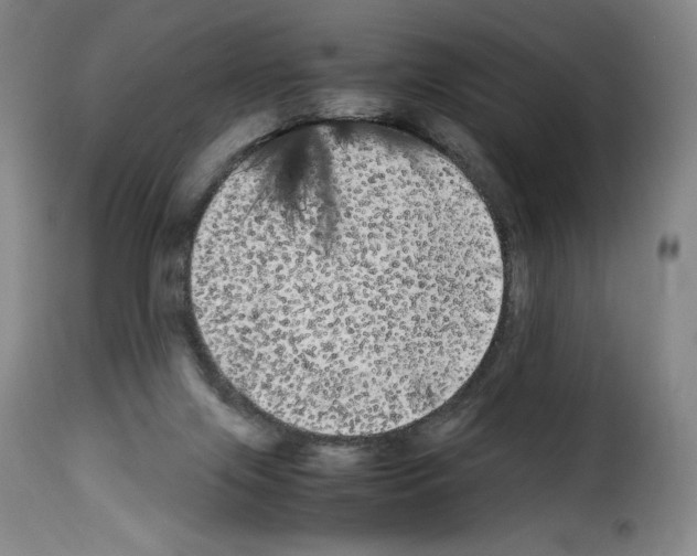 X0000114190071200911200946