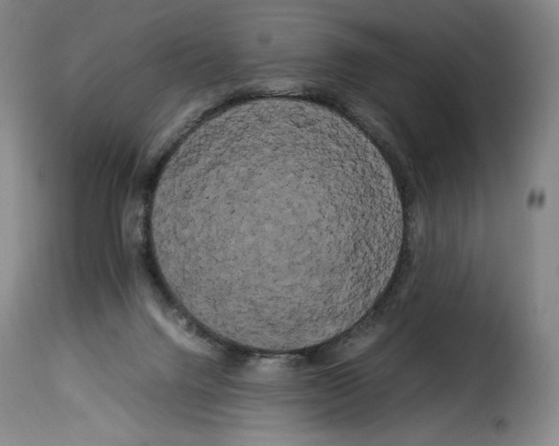 X0000114190072200911200946