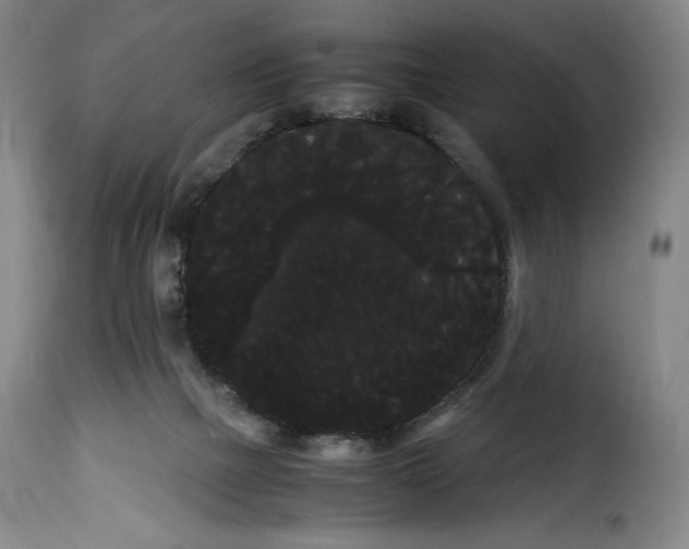 X0000114190073200911200946